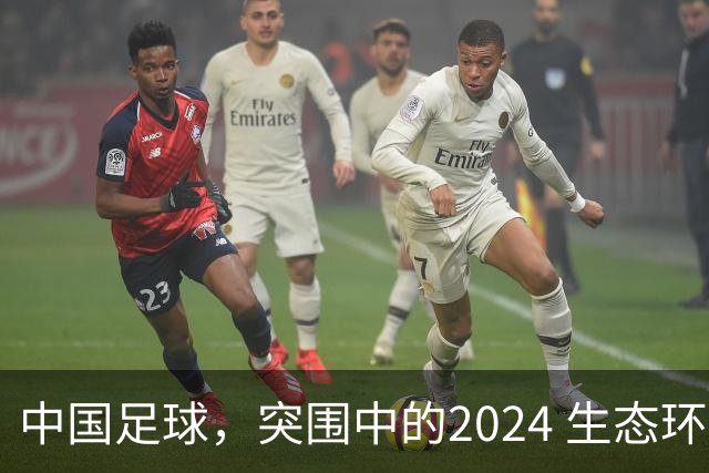 中国足球，突围中的2024 生态环境将实现好转